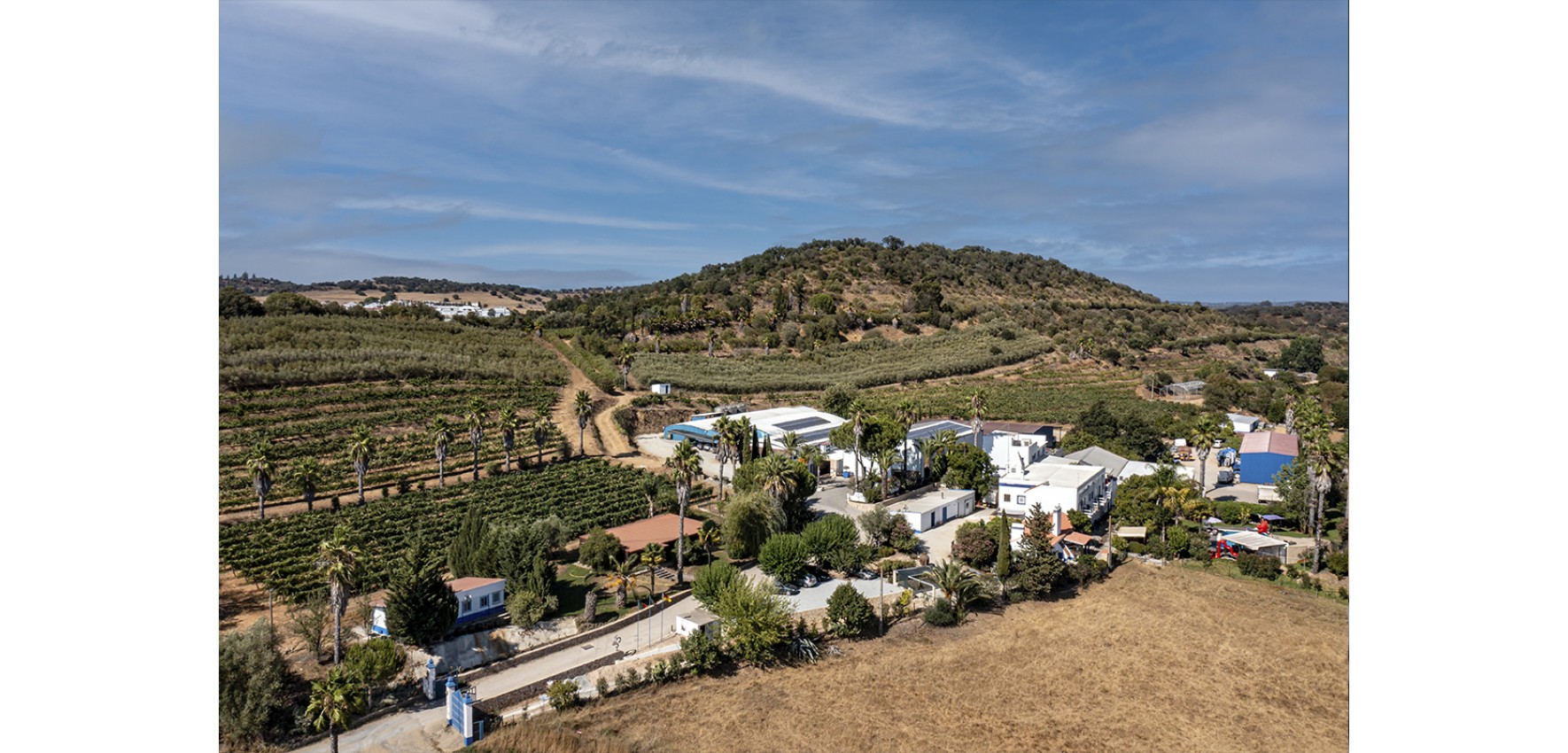 Vinice Alentejo: Portugalský vinařský poklad